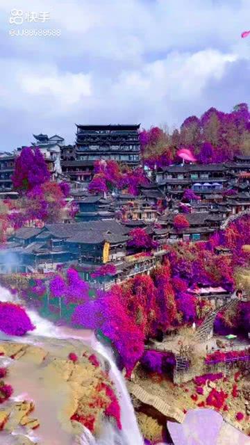 蒿稀绿紫阳毛尖就是康兮寿兮紫阳毛尖吗？游戏画面